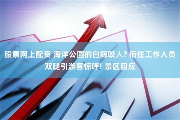股票网上配资 海洋公园的白鲸咬人? 衔住工作人员双腿引游客惊呼! 景区回应